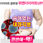 위캔다이어트가격