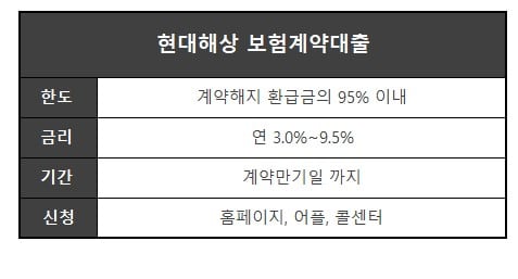 신불자대출