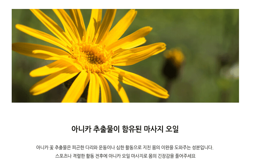 아니카 추출물 아니카 추출물이 있어 심신안정도 함께 챙기세요!