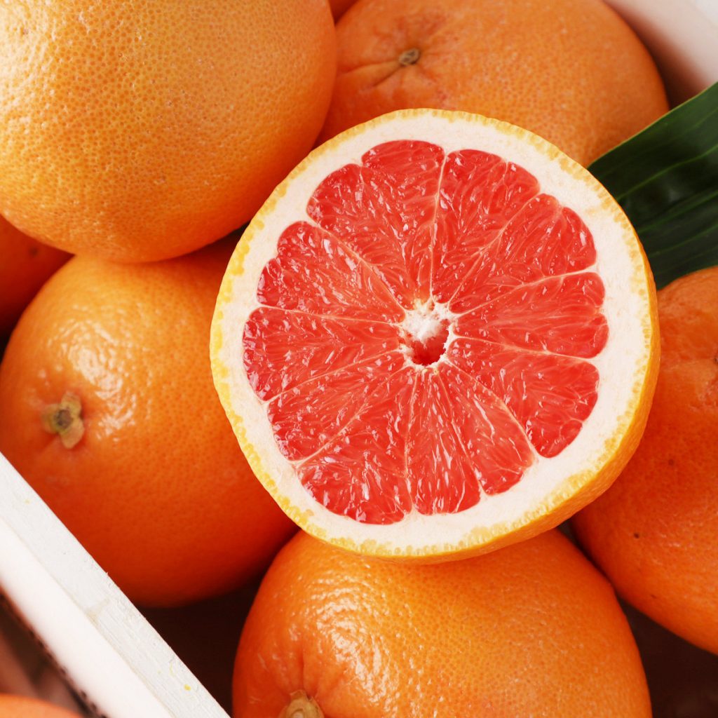 오렌지 자몽 다이어트 이제는 상큼하게 체중감량 합시다!