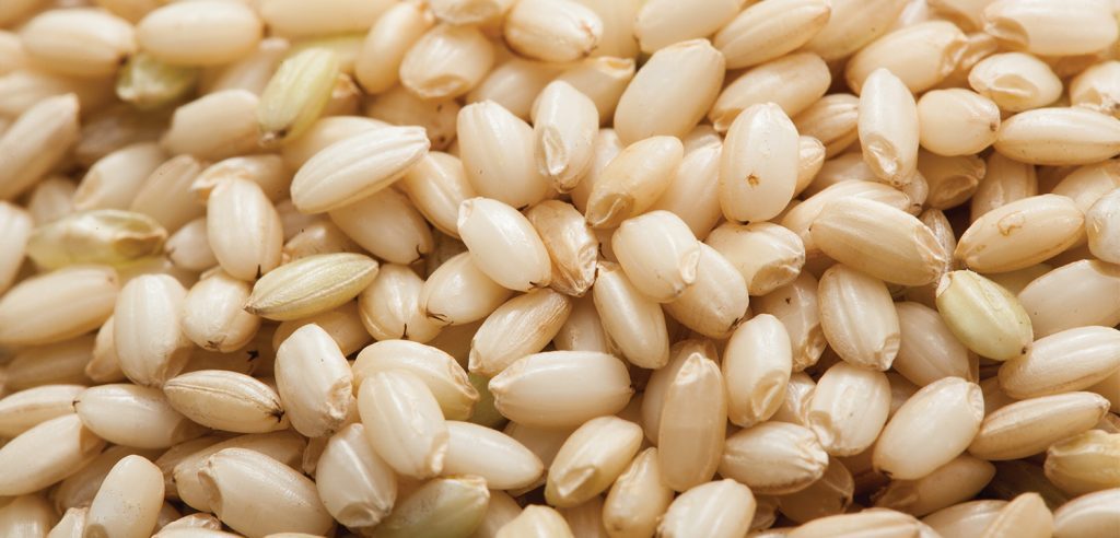 현미밥 다이어트 현미밥 다이어트 효능은 어떤게 있을까요?