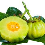 다이어트 가르시니아 효과 똑똑하게 알아보고 가르시니아 부작용 알아봅시다