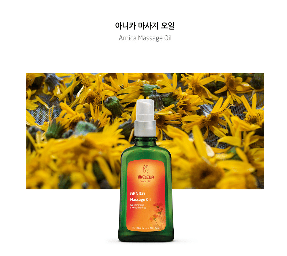 아니카 마사지 오일로 살빼자!