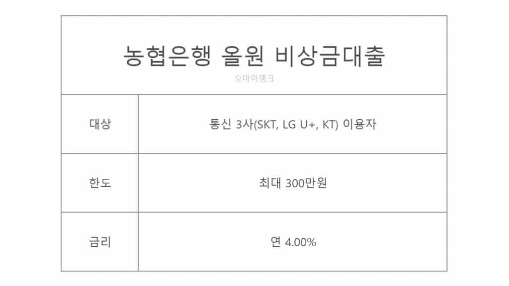 농협 올원 비상금대출